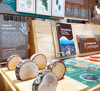 photo de Relais de valorisation sensoriel « Ventilotte »